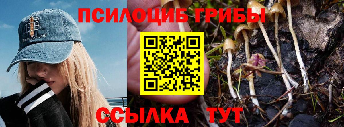 Галлюциногенные грибы мухоморы  Вход с VPN  продажа наркотиков  Калуга 