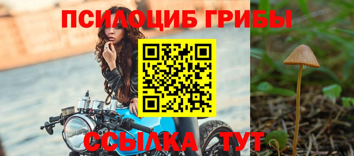 Галлюциногенные грибы ЛСД Калуга